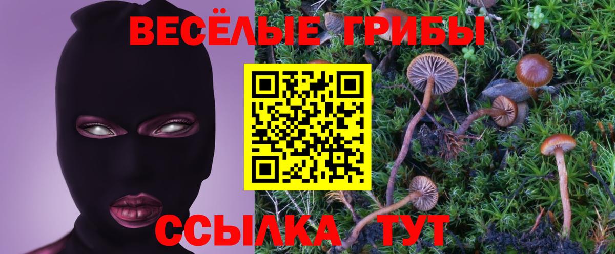 Галлюциногенные грибы Psilocybe  Вход с VPN  Галлюциногенные грибы Magic Shrooms  Южноуральск 